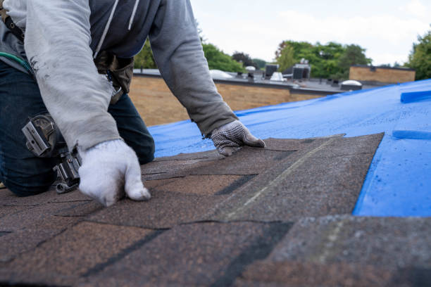 Best Storm Damage Roof Repair  in Akron, CO